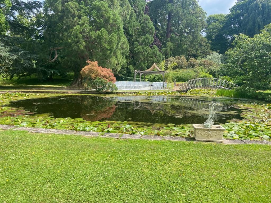 lily pond terrace